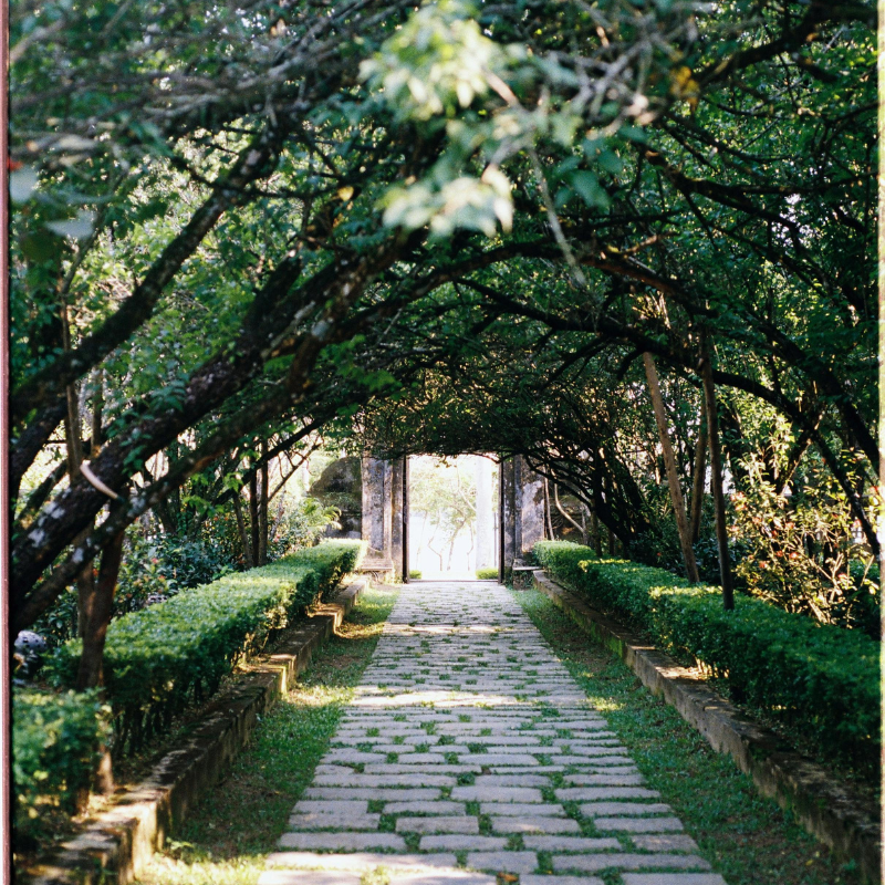 Indoor and Outdoor Plantation