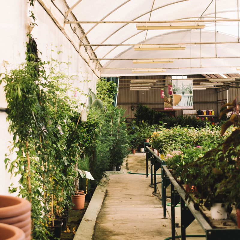 Rooftop Garden Setup